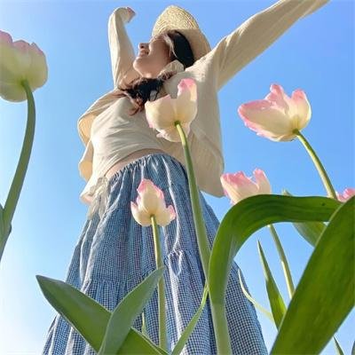 厄普肖一家第二季